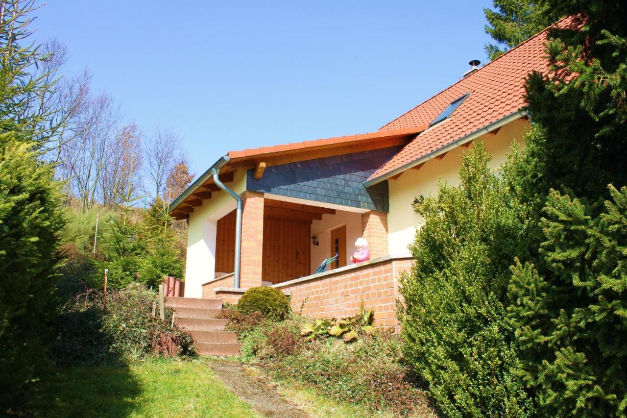 Ferienhaus Harzblick 金特斯贝格 外观 照片